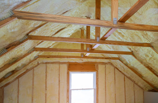 Best Insulation Maintenance and Repair in Lincolnia, VA