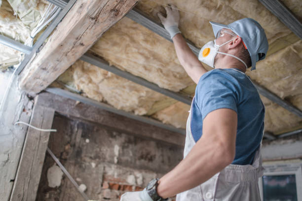 Best Specialized Insulation Services in Lincolnia, VA