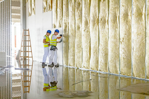 Best Fiberglass Insulation in Lincolnia, VA